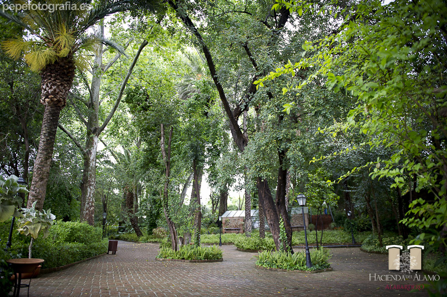 Hacienda del Alamo